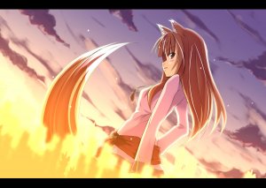Rating: Safe Score: 0 Tags: horo spice_and_wolf User: Vetyt